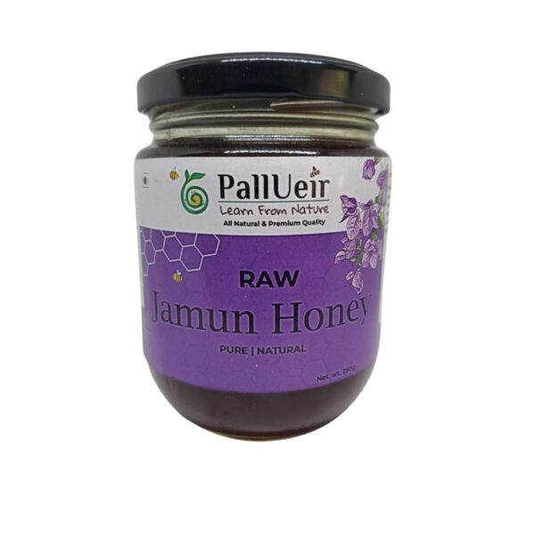 Jamun Honey 280g | 100% Pure Raw and Unprocessed Honey |