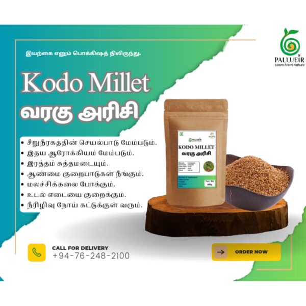 Kodo Millet | Varagu | வரகு |400g Unpolished Rice |100% Gluten Free & Natural |High Protein & More Fiber