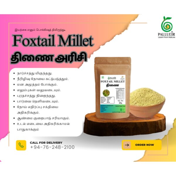 Foxtail Millet | Thinai | தினை | 400g Unpolished Rice |100% Gluten Free & Natural |High Protein & More Fiber