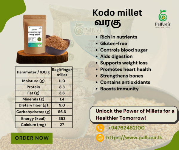 Kodo Millet | Varagu | வரகு |400g Unpolished Rice |100% Gluten Free & Natural |High Protein & More Fiber