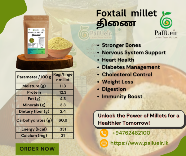 Foxtail Millet | Thinai | தினை | 400g Unpolished Rice |100% Gluten Free & Natural |High Protein & More Fiber