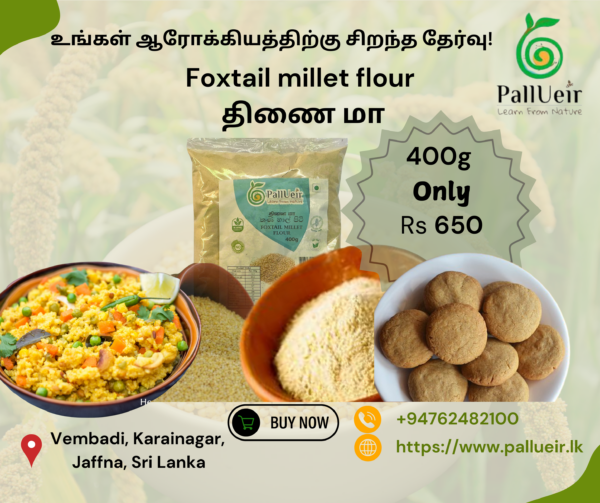Foxtail Millet Flour | Thinai Flour | தினை மா | 400g |100% Gluten Free & Natural |High Protein & More Fiber
