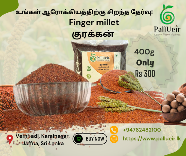 Finger Millet | Kurakkan | குரக்கன் | 400g Unpolished Rice |100% Gluten Free & Natural | High Protein & More Fiber
