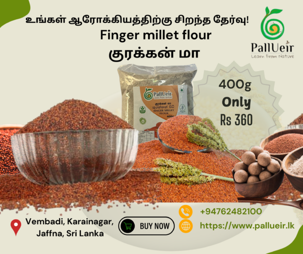 Finger Millet Flour | Kurakkan Flour | குரக்கன் மா | 400g |100% Gluten Free & Natural |High Protein & More Fiber