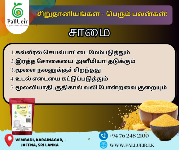 Little Millet | Samai | சாமை | 400g Unpolished Rice |100% Gluten Free & Natural |High Protein & More Fiber