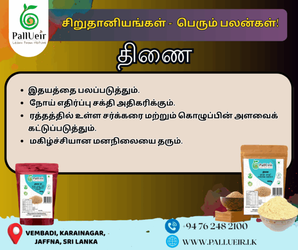 Foxtail Millet | Thinai | தினை | 400g Unpolished Rice |100% Gluten Free & Natural |High Protein & More Fiber