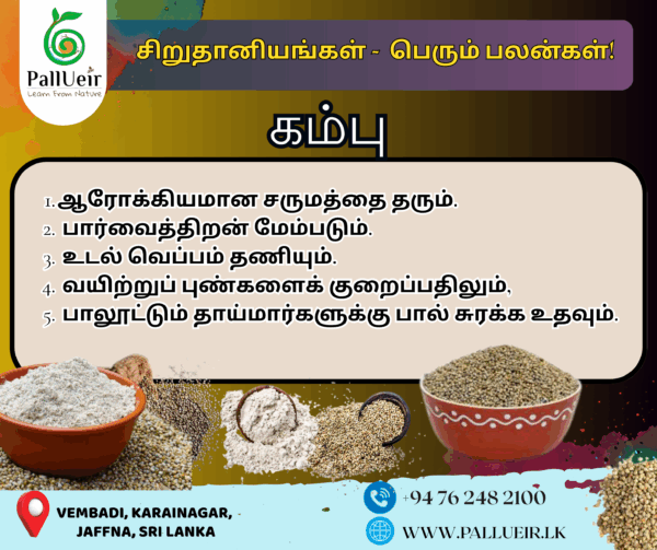 Pearl Millet Flour 400g