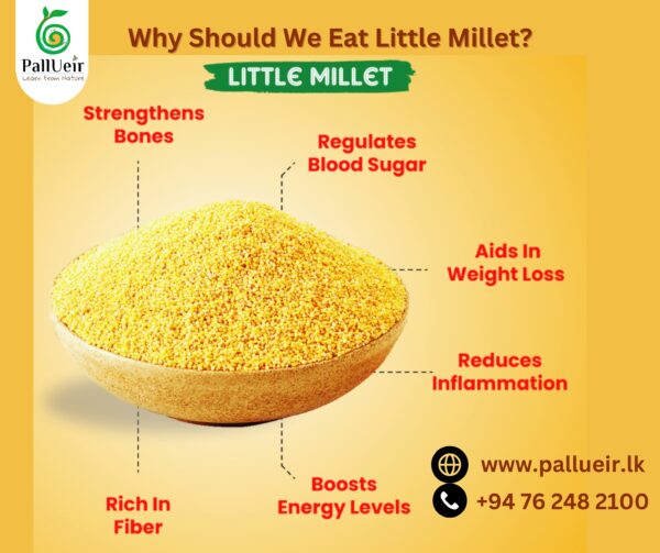 Little Millet | Samai | சாமை | 400g Unpolished Rice |100% Gluten Free & Natural |High Protein & More Fiber