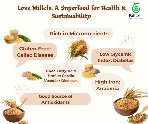 Little Millet | Samai | சாமை | 400g Unpolished Rice |100% Gluten Free & Natural |High Protein & More Fiber