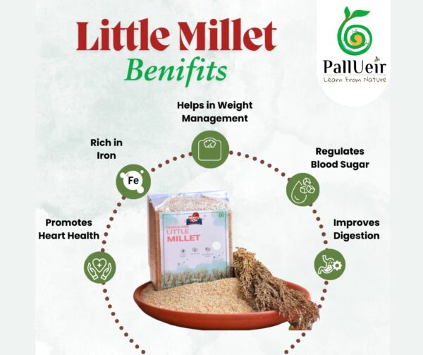Little Millet | Samai | சாமை | 400g Unpolished Rice |100% Gluten Free & Natural |High Protein & More Fiber