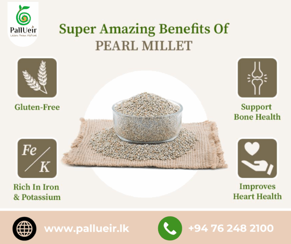 Pearl Millet Flour 400g