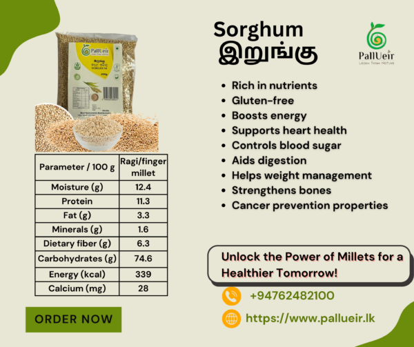 Sorghum Millet | Cholam | இறுங்கு | 400g Unpolished Rice |100% Gluten Free & Natural |High Protein & More Fiber