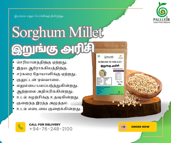 Sorghum Millet | Cholam | இறுங்கு | 400g Unpolished Rice |100% Gluten Free & Natural |High Protein & More Fiber