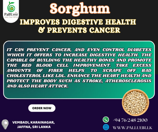 Sorghum Flour | Sorghum Flour | இறுங்கு மா | 400g