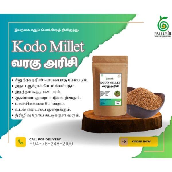 Kodo Millet Flour | Varagu Maavu | வரகு மா