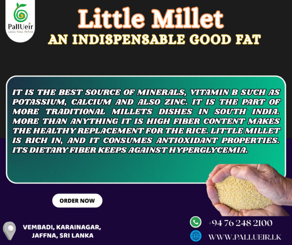 Little Millet Flour | Samai Flour | சாமை மா| 400g