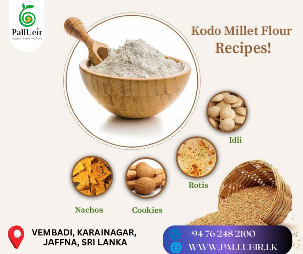 Kodo Millet Flour | Varagu Maavu | வரகு மா