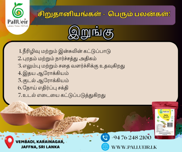 Sorghum Flour | Sorghum Flour | இறுங்கு மா | 400g