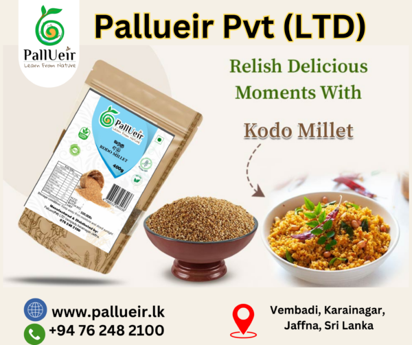 Kodo Millet Flour | Varagu Maavu | வரகு மா