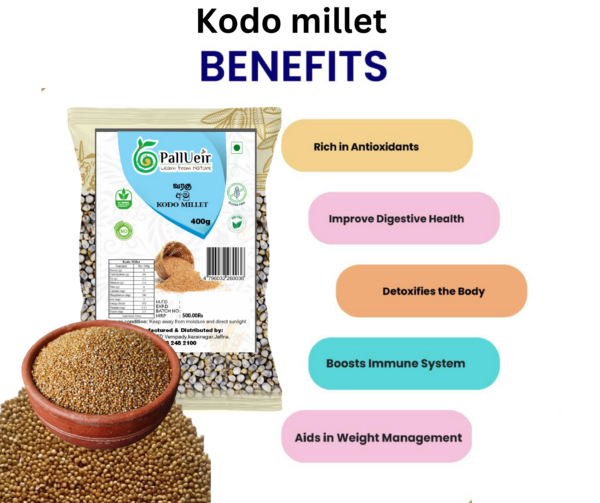 Kodo Millet Flour | Varagu Maavu | வரகு மா