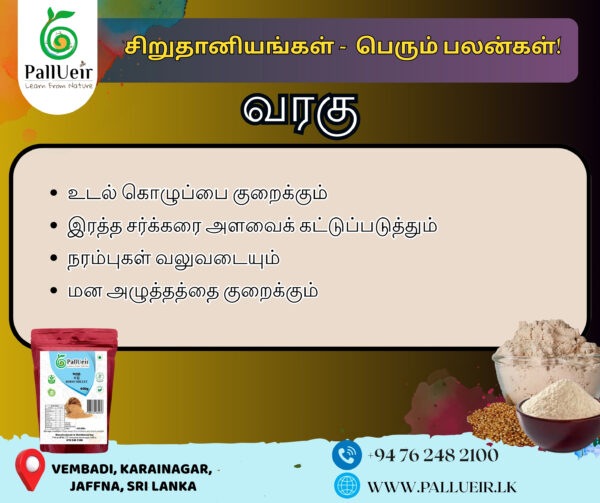 Kodo Millet Flour | Varagu Maavu | வரகு மா