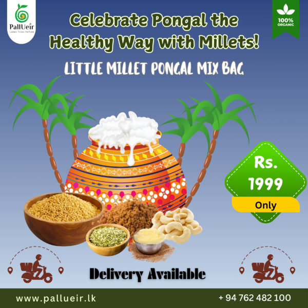Product Details of Little Millet Pongal Mix | Little Millet Pongal Mix | சாமை பொங்கல் பொதி| 500g | 100% Gluten-Free & Natural | High Protein & More Fiber