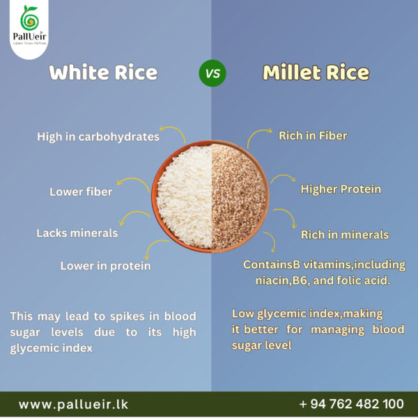 Product Details of Little Millet Pongal Mix | Little Millet Pongal Mix | சாமை பொங்கல் பொதி| 500g | 100% Gluten-Free & Natural | High Protein & More Fiber