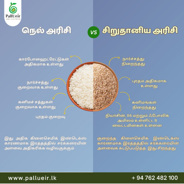 Product Details of Little Millet Pongal Mix | Little Millet Pongal Mix | சாமை பொங்கல் பொதி| 500g | 100% Gluten-Free & Natural | High Protein & More Fiber