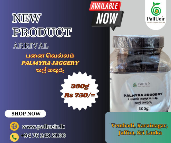 Palmyrah Jaggery | பனங்கட்டி | 300g