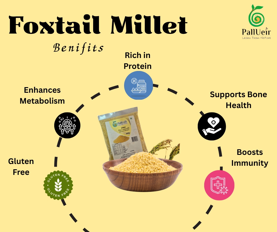 Foxtail Millet | Thinai | தினை | 200g | 100% Gluten Free & Natural |High Protein & More Fiber