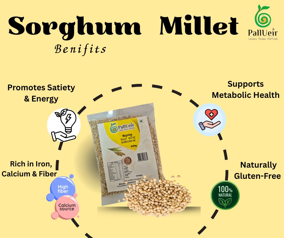 Sorghum Flour | Sorghum Flour | இறுங்கு மா | 400g